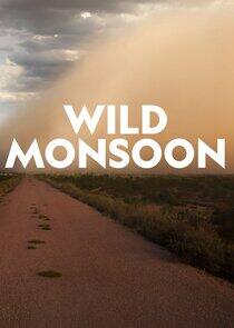 Wild Monsoon Wild Monsoon