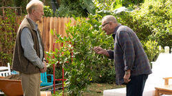 Putting Down Roots Putting Down Roots