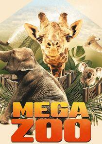 Mega Zoo Mega Zoo