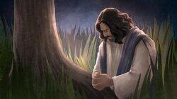 Luke 22; John 18 Luke 22; John 18