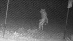 Chupacabra, Greatest UFO Photo Ever and Mars Sounds Chupacabra, Greatest UFO Photo Ever and Mars Sounds