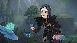 Chapter 7 Hearts of Cinder Chapter 7 Hearts of Cinder