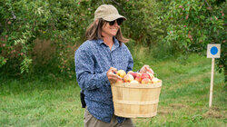How Do You Like Them Apples? How Do You Like Them Apples?