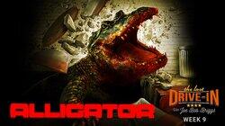 Alligator Alligator