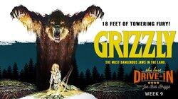 Grizzly Grizzly