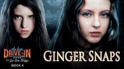Ginger Snaps Ginger Snaps