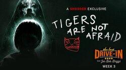 Tigers Are Not Afraid Tigers Are Not Afraid
