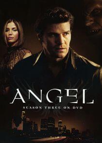 Angel - Season 3 Angel - Season 3