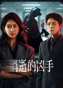 The Vanished Murderer