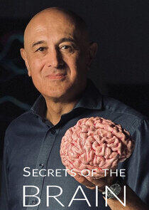 Secrets of the Brain