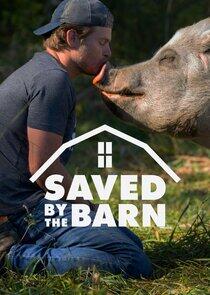 Saved by the Barn Saved by the Barn