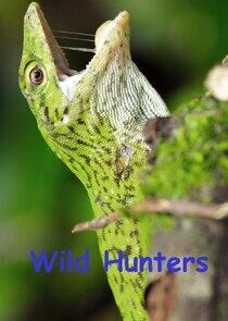 Wild Hunters Wild Hunters