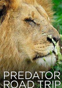 Predator Road Trip Predator Road Trip