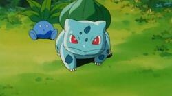 Bulbasaur and the Hidden Village Bulbasaur and the Hidden Village