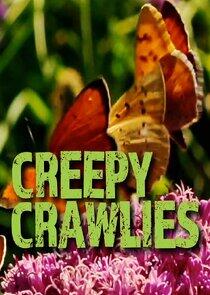 Creepy Crawlies Creepy Crawlies