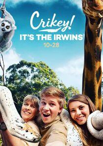 Crikey! It's the Irwins - Season 1 Crikey! It's the Irwins - Season 1