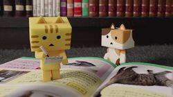 The Nyanbo's Secret The Nyanbo's Secret