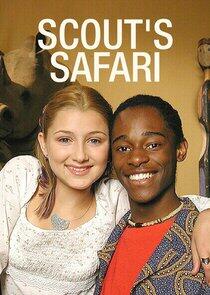 Scout's Safari Scout's Safari