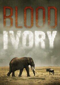 Blood Ivory Blood Ivory
