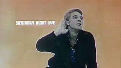 Steve Martin / The Nitty Gritty Dirty Band Steve Martin / The Nitty Gritty Dirty Band