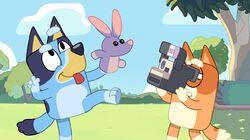 Bob Bilby Bob Bilby
