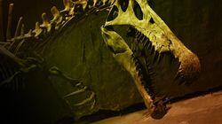Bigger Than T. Rex Bigger Than T. Rex