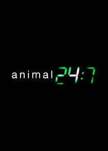 Animal 24:7 Animal 24:7
