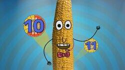 Corn Corn