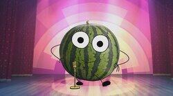 Watermelon Watermelon