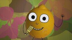 Lemon Lemon