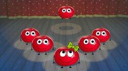 Cranberry Cranberry