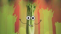 Celery Celery