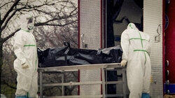 Pandemic Profiteers Pandemic Profiteers