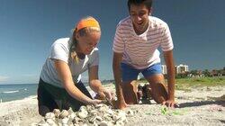 Conservation, Crystals, and the Corpus Callosum Conservation, Crystals, and the Corpus Callosum