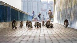 Residents Residents