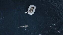 Desert Island Manhunt Desert Island Manhunt