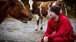 Farm Farm