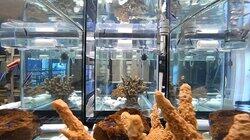 Marine Biology, Moon Rock, and Molecules Marine Biology, Moon Rock, and Molecules