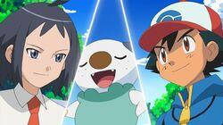 There's a New Gym Leader in Town! There's a New Gym Leader in Town!