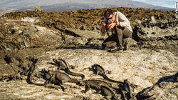 Galapagos: A Fight for Survival Galapagos: A Fight for Survival