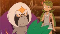 Mallow and the Forest Teacher! Mallow and the Forest Teacher!