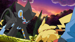 Luxray Vision Luxray Vision