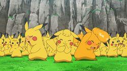 A Plethora of Pikachu! A Plethora of Pikachu!