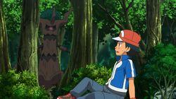 Forging Forest Friendships! Forging Forest Friendships!