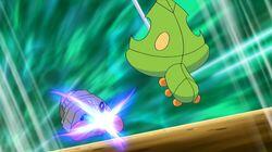 Battling for the Love of Bug-Types! Battling for the Love of Bug-Types!
