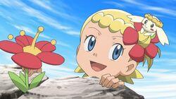 To Find a Fairy Flower! To Find a Fairy Flower!