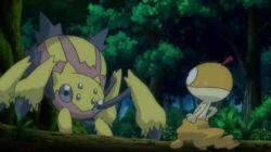 Scraggy-Hatched to Be Wild! Scraggy-Hatched to Be Wild!
