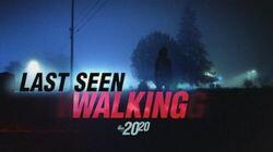 Last Seen Walking Last Seen Walking