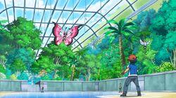 A Blustery Santalune Gym Battle! A Blustery Santalune Gym Battle!
