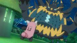 Z-Move Showdown! Z-Move Showdown!